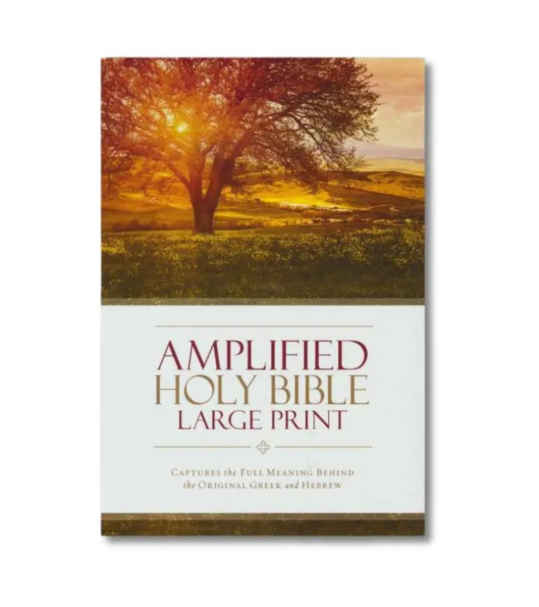 Amplified Holy Bible, Large Print, Hardcover