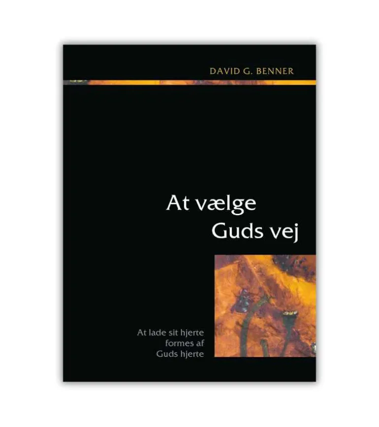 At vælge Guds vej af David Benner Del 3