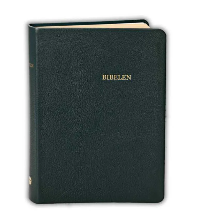 Bibelen i ægte sort skind