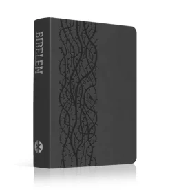 Bibelen på Hverdagsdansk 2024, TREND, grå