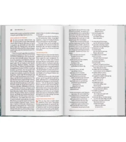 Bibelen på Hverdagsdansk 2024, Brun kunstlæder