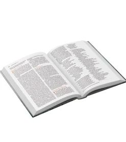 Bibelen på Hverdagsdansk. Hardback, Torne