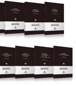 Bibelnotesbøger, Samlet sæt med 13 NT notesbøger