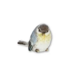 Fugl i naturlige farver, Ass