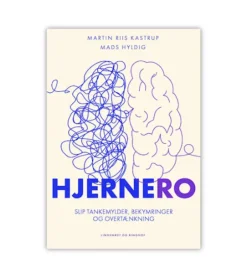 HjerneRo af Martin Riis Kastrup og Mads Hyldig