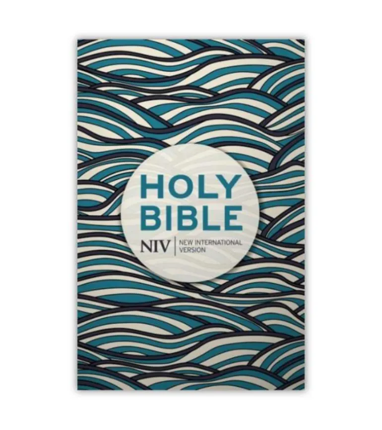 NIV Holy Bible, paperbag