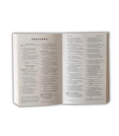 NIV Holy Bible, paperbag