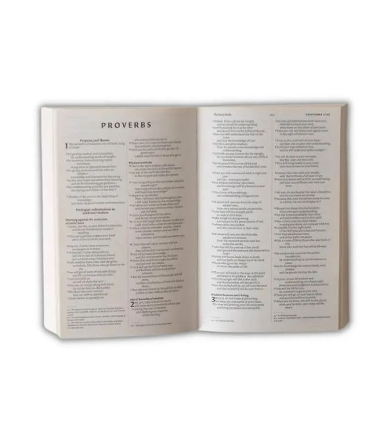 NIV Holy Bible, paperbag