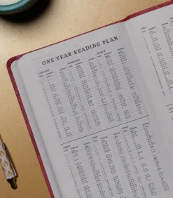 NKJV, Value Thinline Bible, Pink Leathersoft