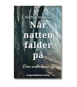 Når Natten falder på af Wilfrid Stinissen