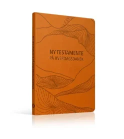 Ny Testamente på hverdagsdansk, kunstlæder