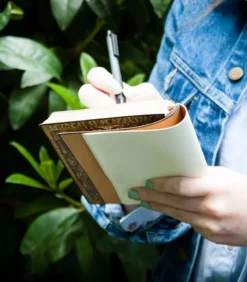 Paperblanks, Flexis Lindau, Notesbog, Linjer, 9×14 cm