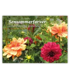 Sensommerfarver – Livsstykker for grånende