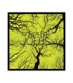 Songs for Joebs – CD