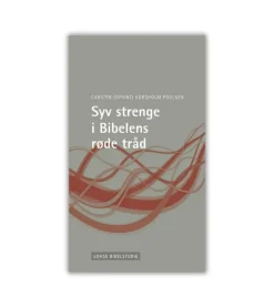 Syv strenge i Bibelens røde tråd af Sprint Aagaard Korsholm